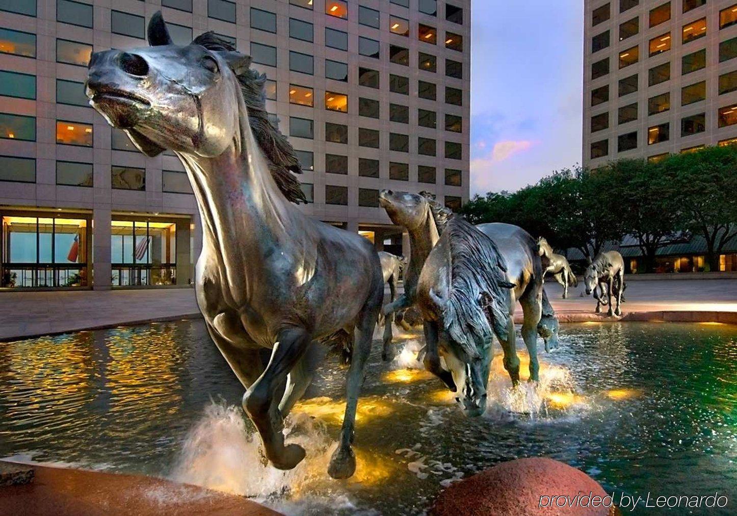 Hampton Inn Dallas Irving Las Colinas Facilities photo